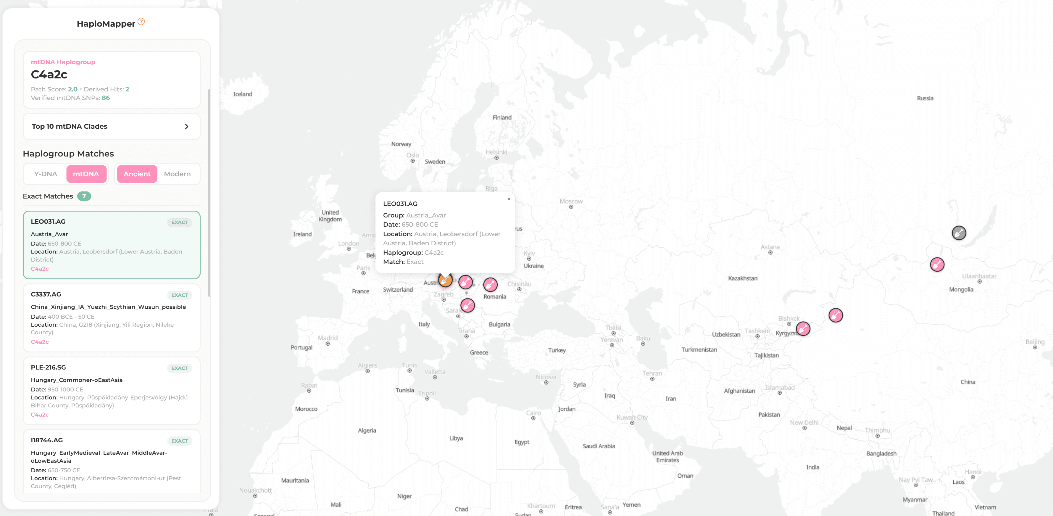 HaploMapper: haplogroup tree breakdown